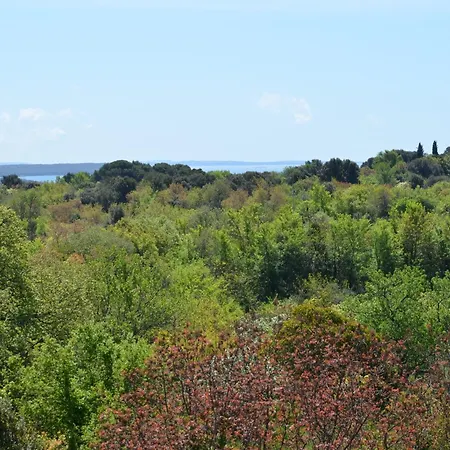 Apartment Ana Rovinj